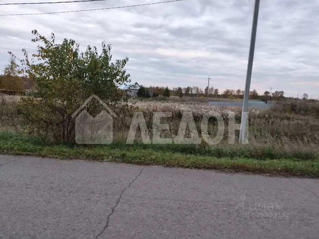 Участок в Омская область, Омский район муниципальный округ, д. ... - Фото 2