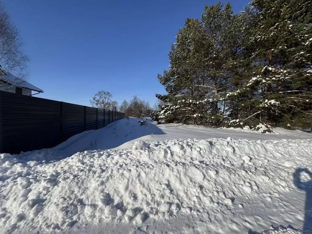 Участок в Пензенская область, Бессоновский район, пос. Подлесный, ... - Фото 2