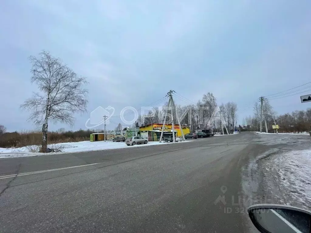 Участок в Тюменская область, Тюмень Царево садовое товарищество, ул. ... - Фото 0