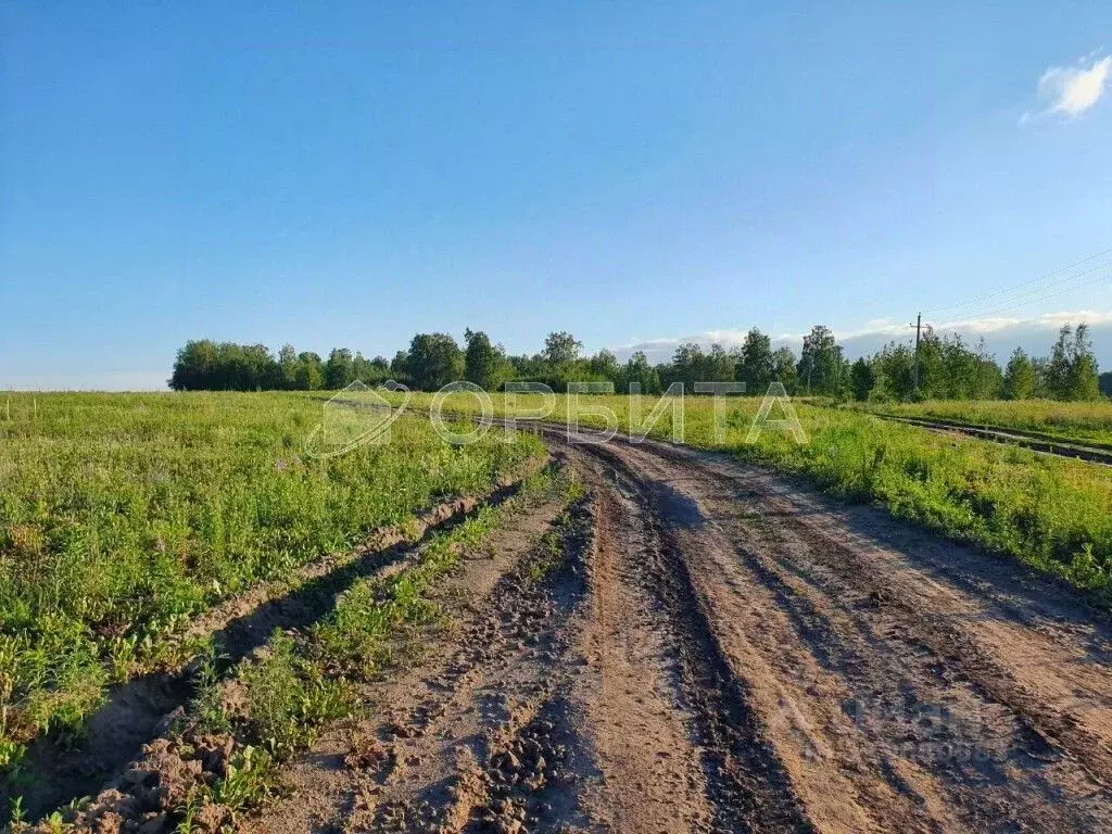 Участок в Тюменская область, Тюмень Поле Чудес садовое товарищество, ... - Фото 1