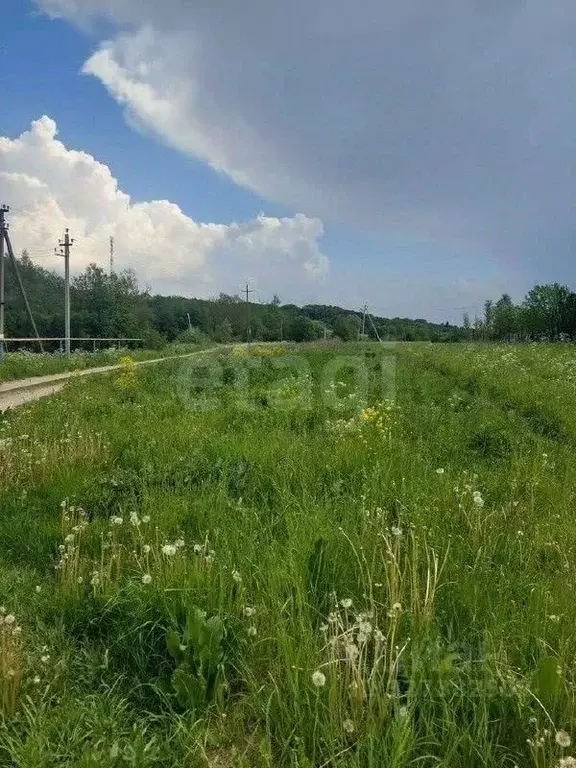 Участок в Тульская область, Тула городской округ, с. Частое ул. ... - Фото 2