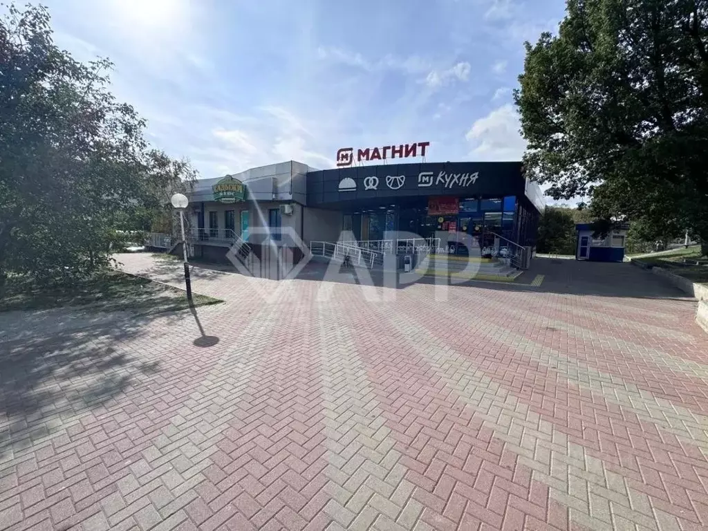 Помещение свободного назначения в Краснодарский край, Геленджик просп. ... - Фото 1