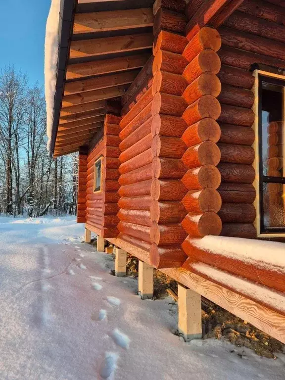 Дом в Архангельская область, Приморский муниципальный округ, д. ... - Фото 2