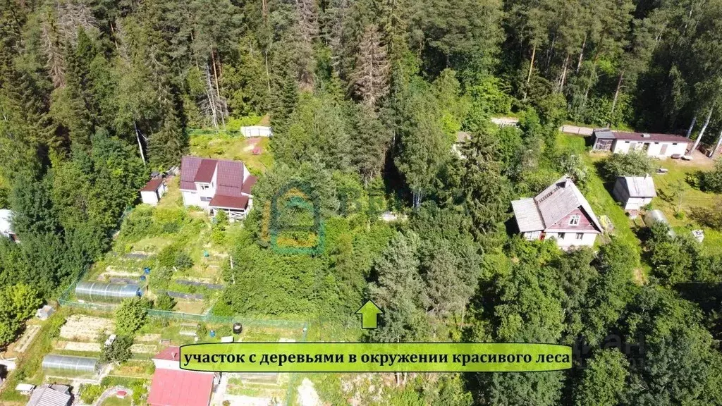 Участок в Ленинградская область, Приозерский район, Сосновское с/пос, ... - Фото 1