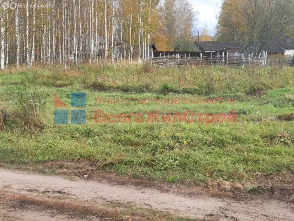 Участок в Нижегородская область, муниципальный округ Сокольский, ... - Фото 1