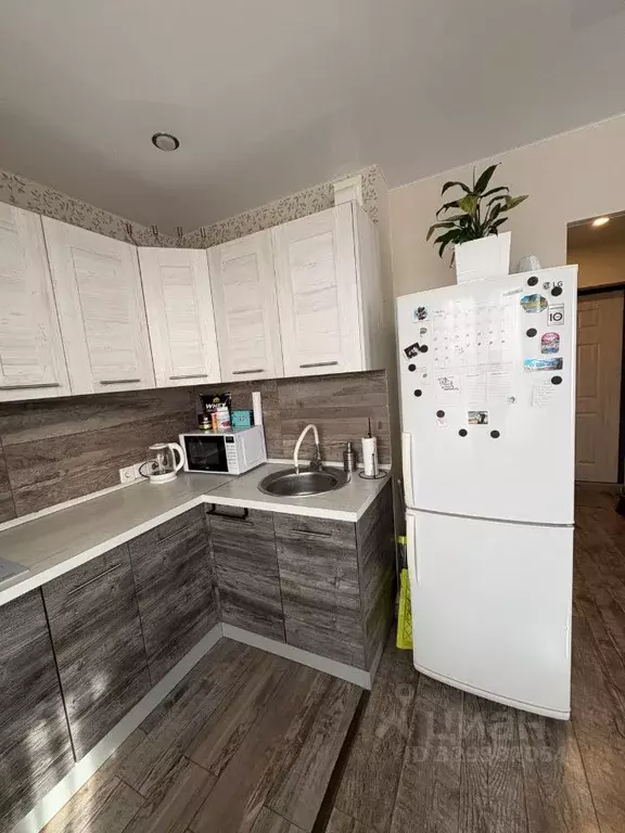 Студия Карелия, Петрозаводск ул. Генерала Судакова, 11 (34.0 м) - Фото 2