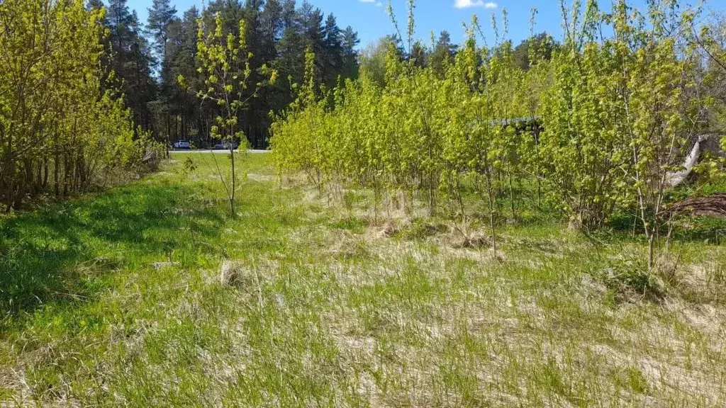 Дом в Владимирская область, Ковровский район, пос. Мелехово ... - Фото 1