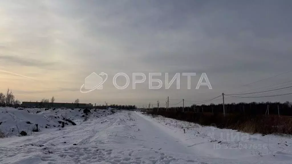 Участок в Тюменская область, Тюмень Велижанский тракт, 9-й км (100.0 ... - Фото 1