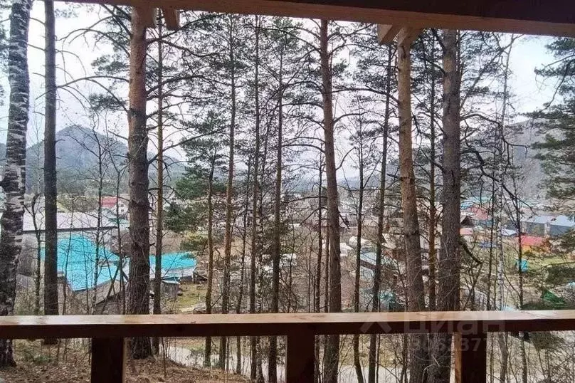 Дом в Алтай, Майминский район, с. Манжерок  (55 м) - Фото 1