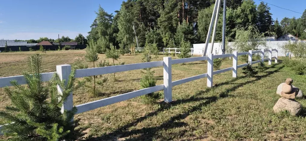 Участок в Московская область, Щелково городской округ, д. Аксиньино ... - Фото 2