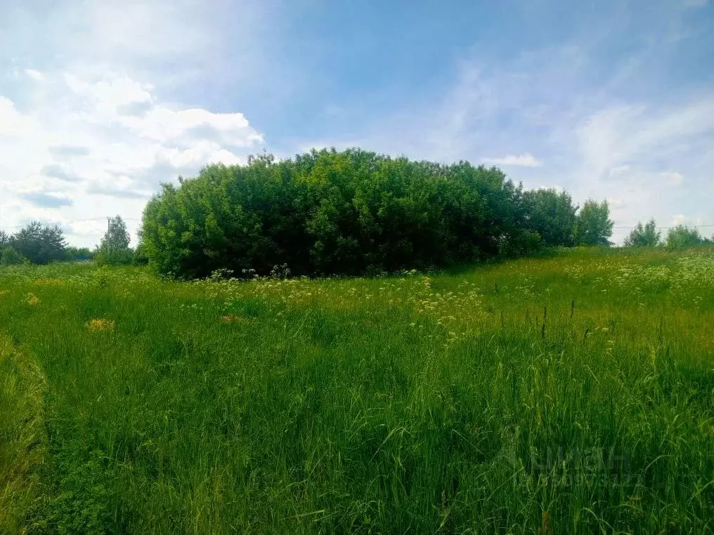 Участок в Московская область, Коломна городской округ, д. Молитвино  ... - Фото 2