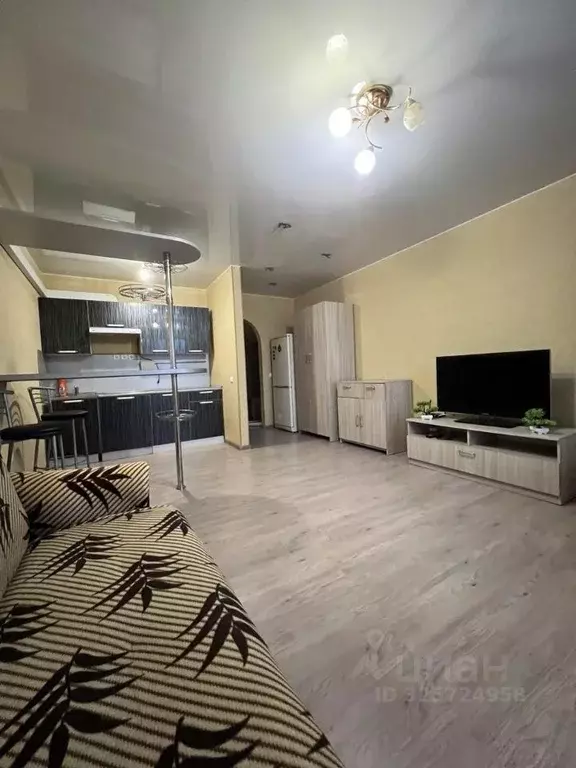 Студия Псковская область, Псковский район, Завеличенская волость, д. ... - Фото 1