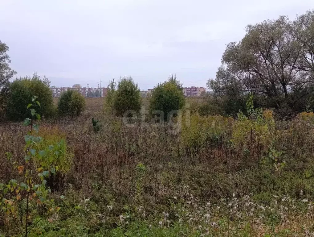 Участок в Калужская область, Бабынинский муниципальный округ, ... - Фото 2