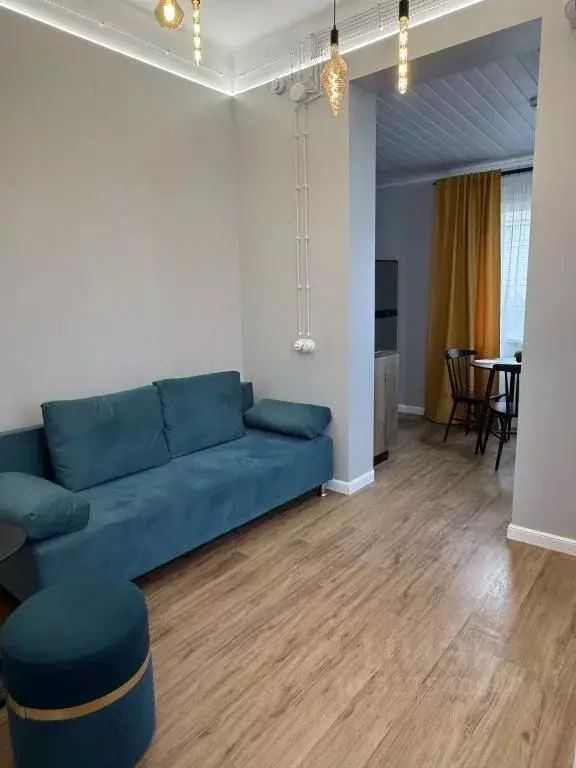 1-к кв. Приморский край, Владивосток ул. Арсеньева, 4А (25.0 м) - Фото 1