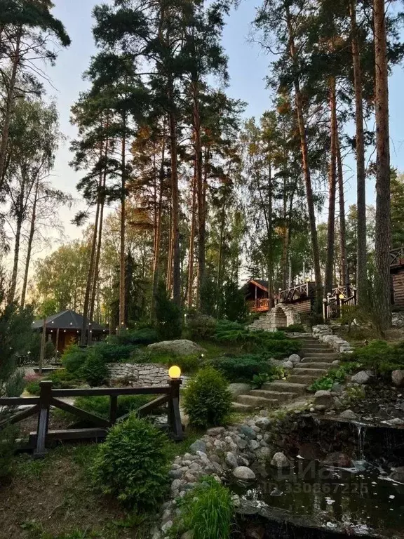 Участок в Московская область, Звенигород Одинцовский городской округ,  ... - Фото 1