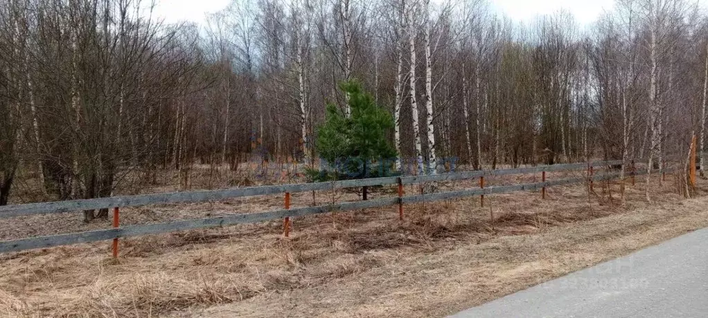 Участок в Нижегородская область, Городецкий муниципальный округ, д. ... - Фото 2
