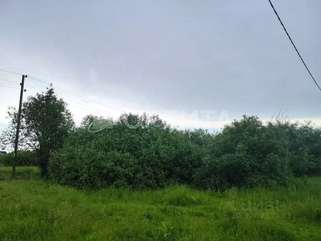 Участок в Тюменская область, Тюменский район, д. Головина Советская ... - Фото 0