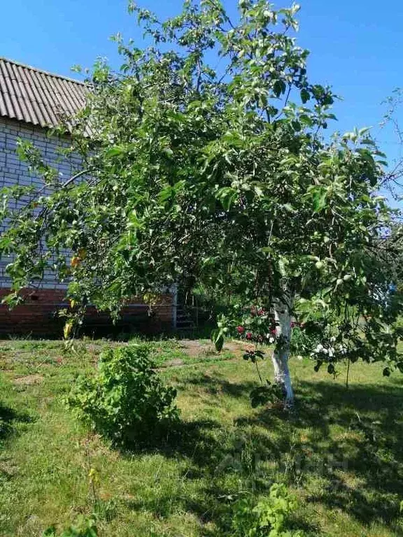 Дом в Саратовская область, Энгельсский район, Красноярское ... - Фото 0