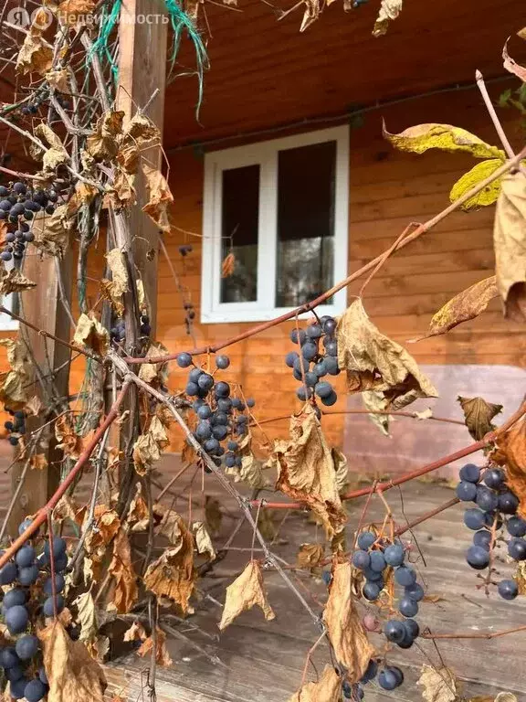 Дом в Заокский район, сельское поселение Демидовское, ТСН Давыдовское ... - Фото 2