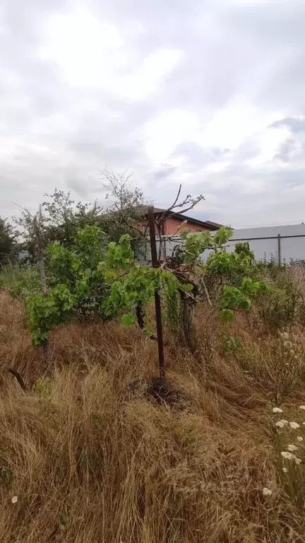 Дом в Ростовская область, Новочеркасск Троицкая пл. (26 м) - Фото 1