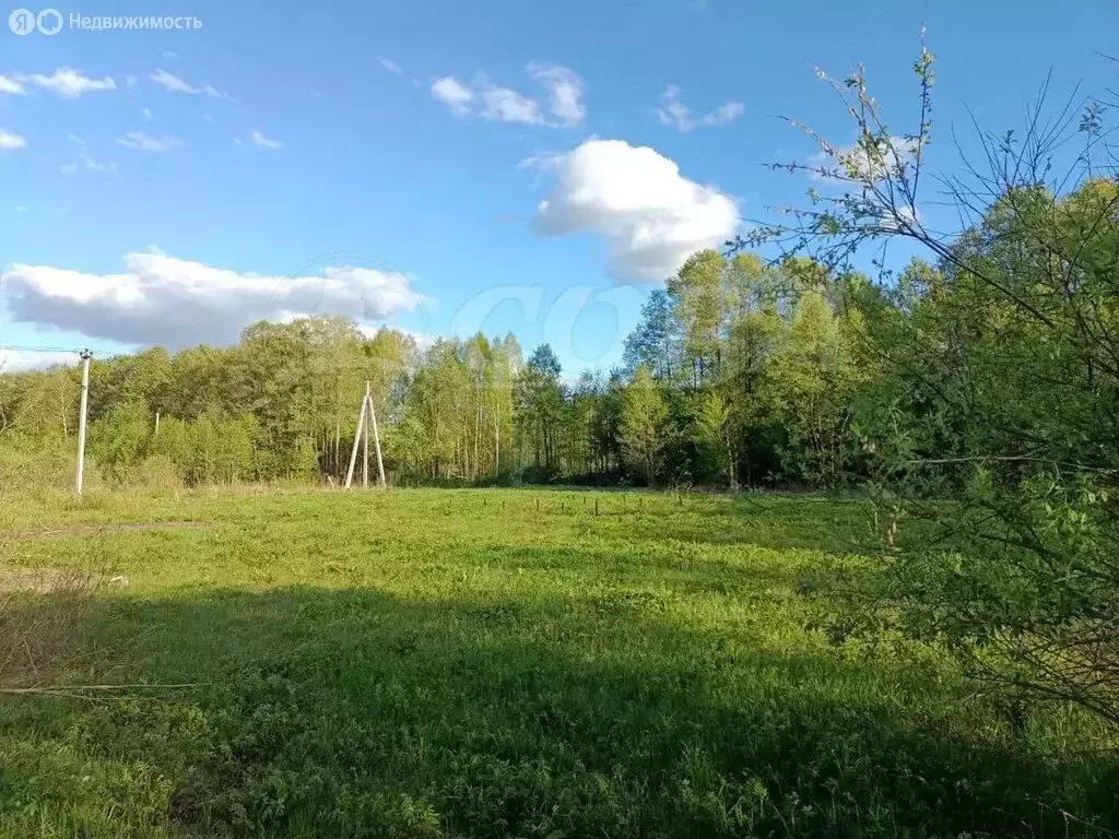 Участок в Тюменский район, деревня Головина (14.4 м) - Фото 1