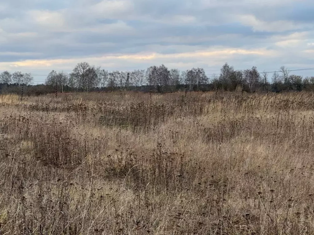 Участок в Московская область, Богородский городской округ, д. Зубцово  ... - Фото 1