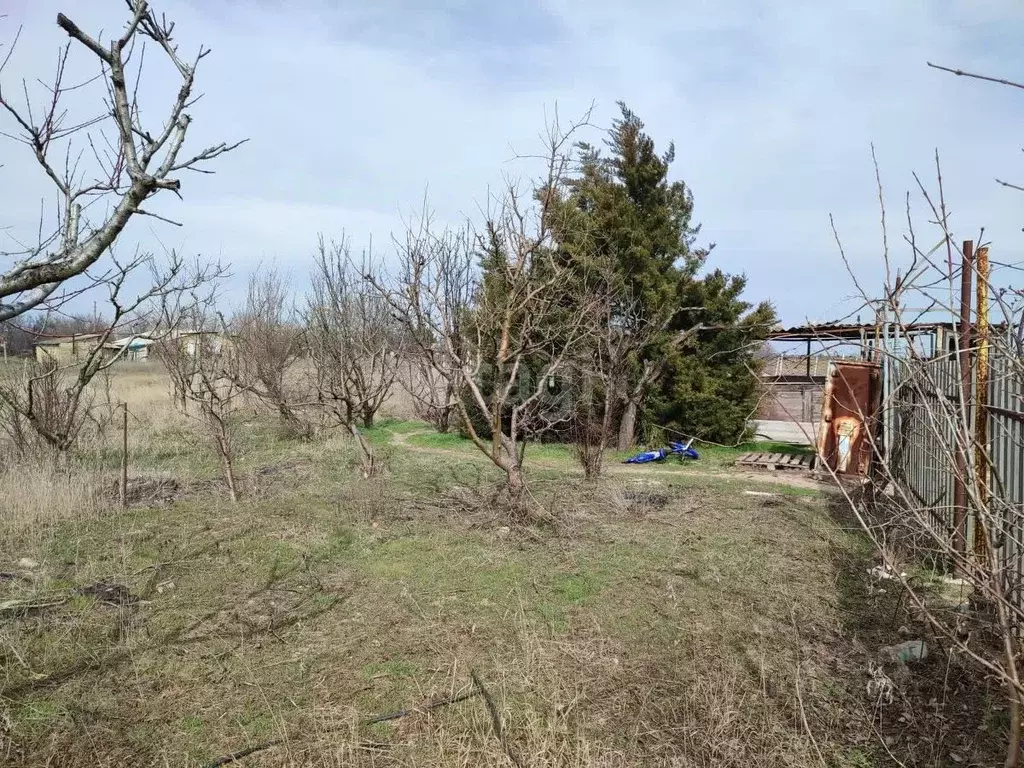 Дом в Крым, Симферопольский район, с. Новоандреевка ул. Киевская, 63 ... - Фото 1
