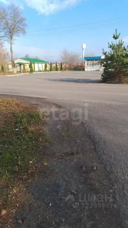 Дом в Белгородская область, Губкинский городской округ, с. Долгое ул. ... - Фото 1