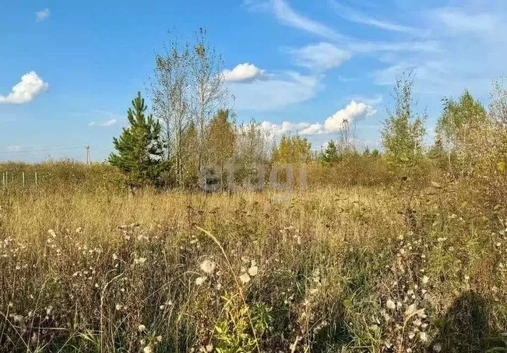 Участок в Тюменская область, Тюменский муниципальный округ, с. ... - Фото 1
