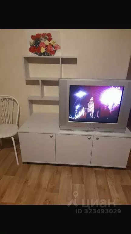 Студия Новосибирская область, Новосибирск ул. Виктора Уса, 15 (28.0 м) - Фото 1