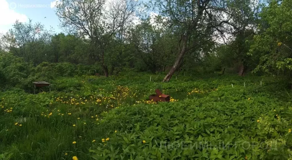 Участок в Нижегородская область, Богородский муниципальный округ, ... - Фото 0
