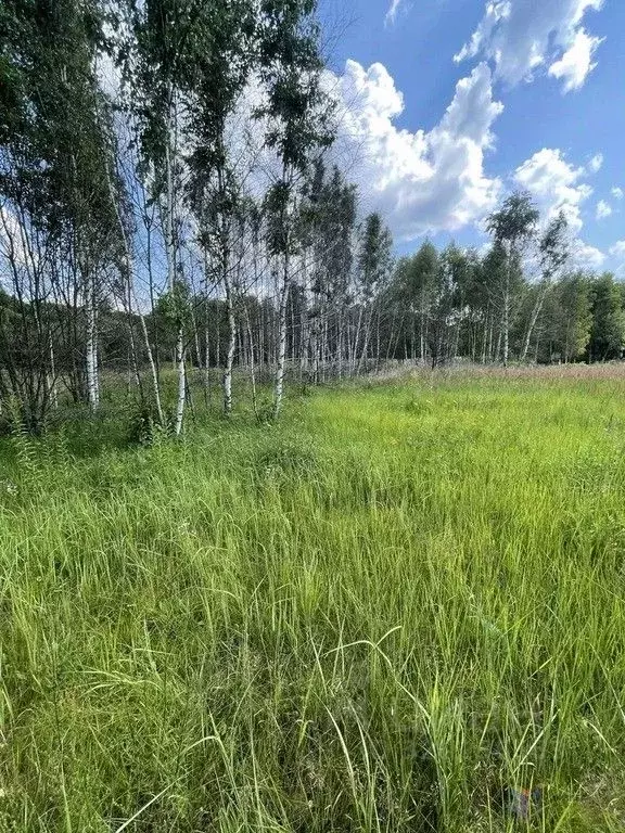 Участок в Московская область, Ступино городской округ, с. Воскресенки  ... - Фото 1
