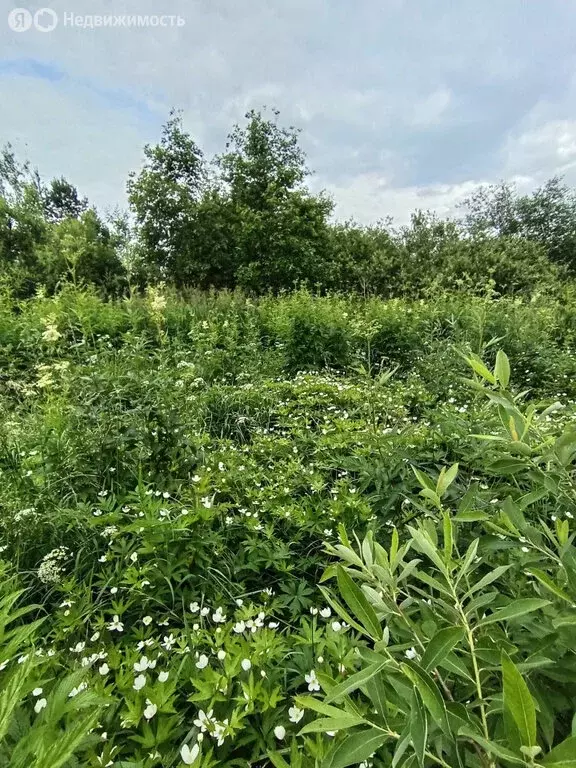 Участок в Екатеринбург, садоводческое некоммерческое товарищество ... - Фото 0