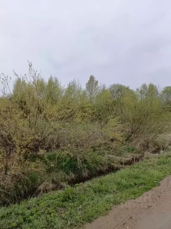 Участок в Московская область, Талдомский городской округ, д. ... - Фото 1