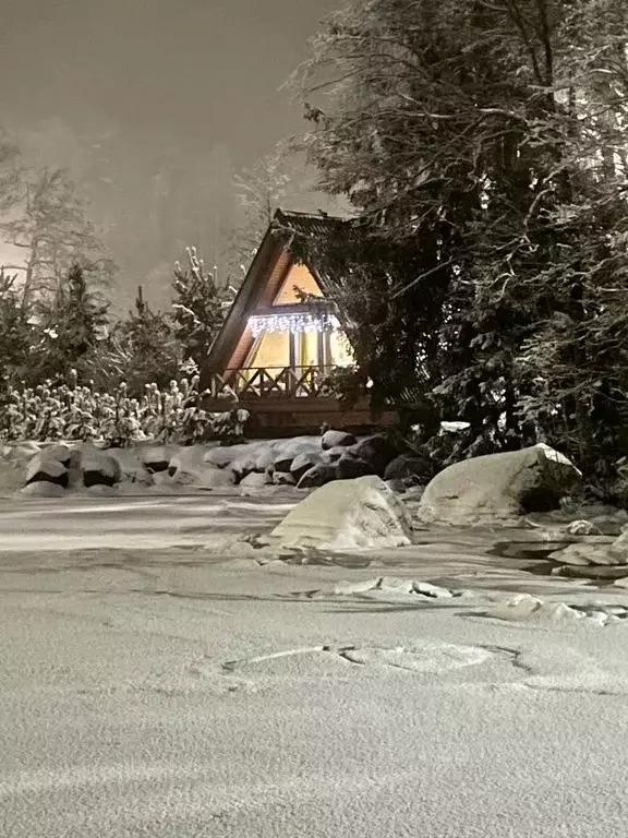 Дом в Ленинградская область, Выборг ул. Школьная, 10 (36 м) - Фото 1