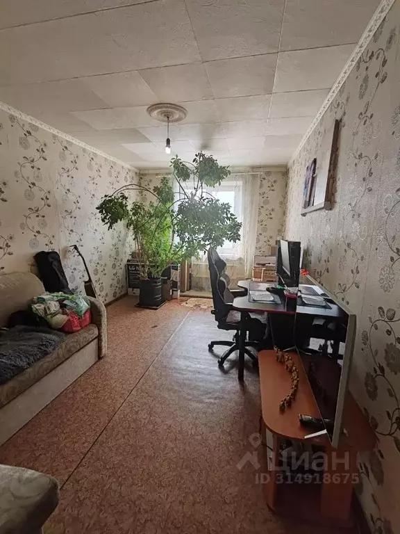 2-к кв. Забайкальский край, Чита ул. Строителей, 89 (50.0 м) - Фото 1