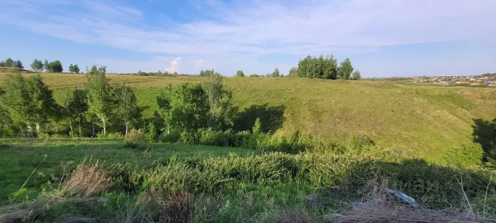 Дом в Омская область, Омск СОСН Механизатор тер., аллея 4-я (50 м) - Фото 0