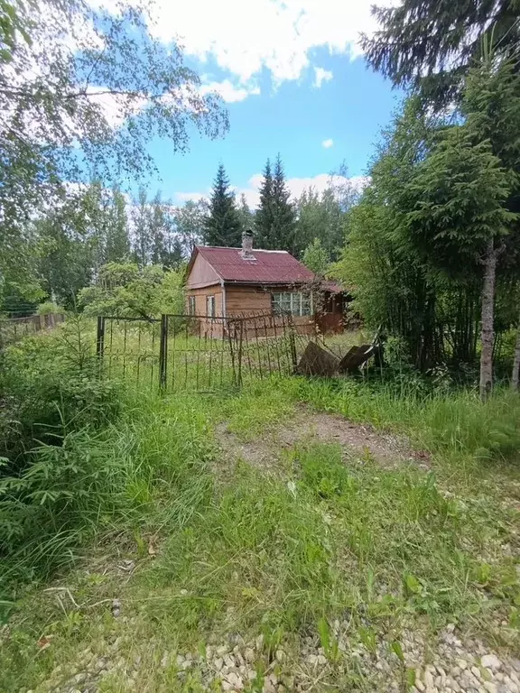 Участок в Ленинградская область, Лужский район, Мшинское с/пос, ... - Фото 0