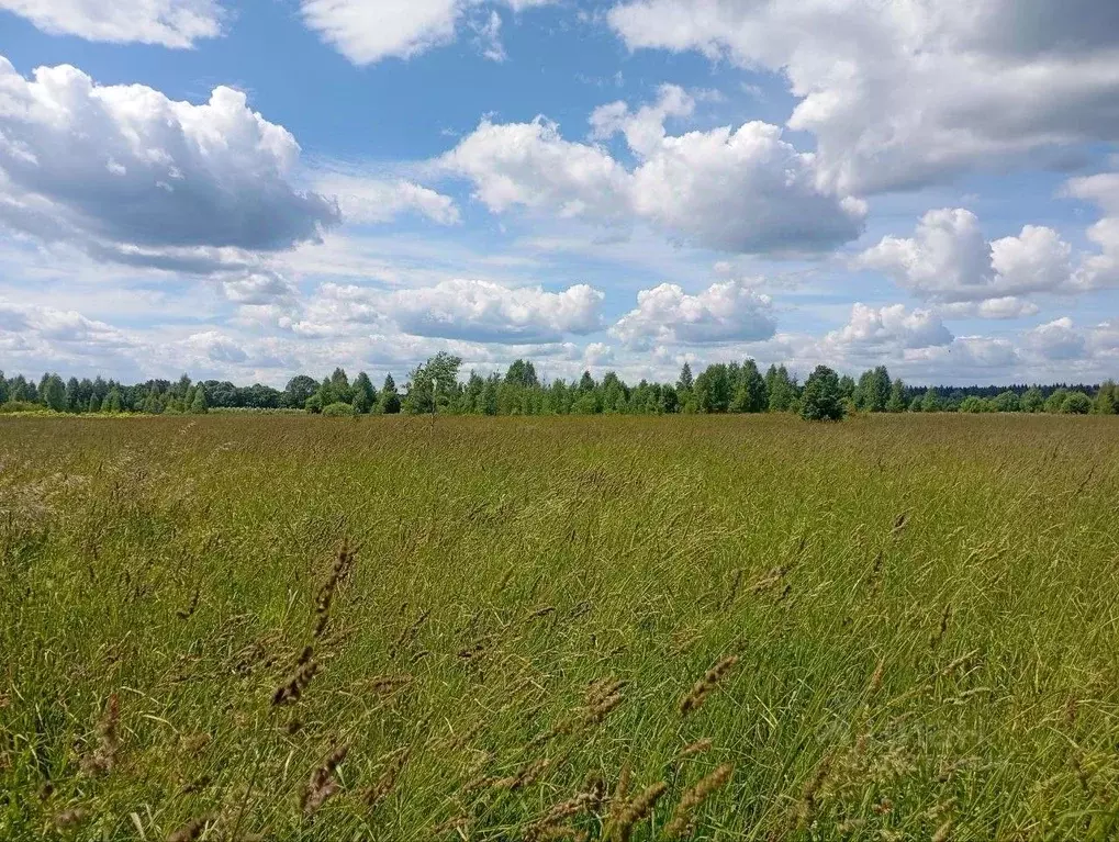 Участок в Московская область, Талдомский городской округ, д. Костино  ... - Фото 1