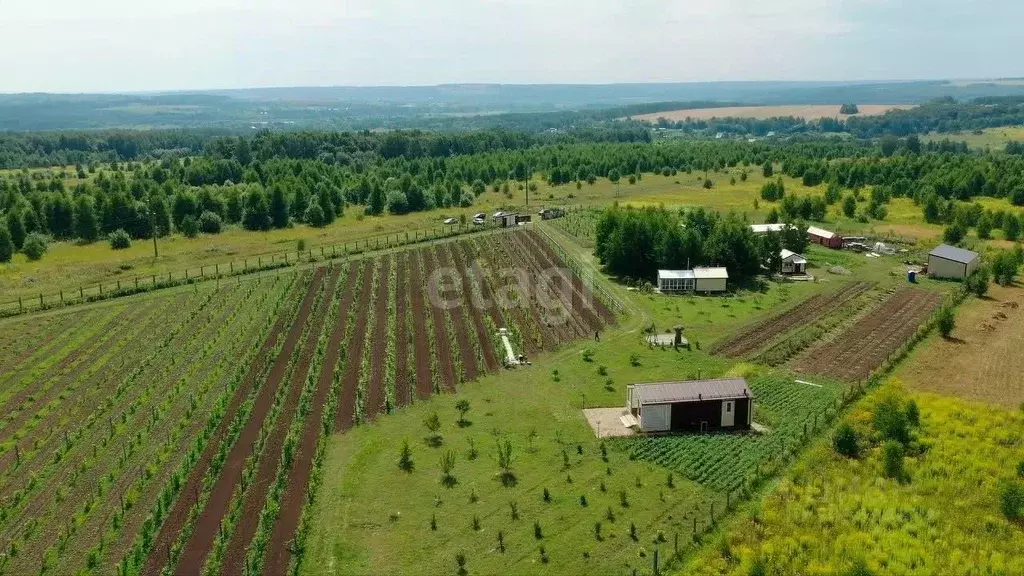 Производственное помещение в Тульская область, Дубенский район, ... - Фото 0