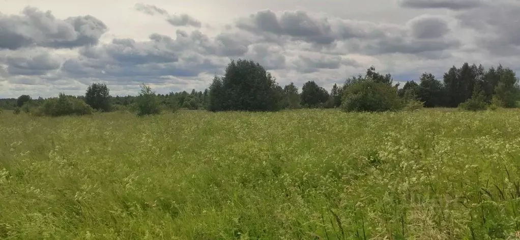 Участок в Московская область, Талдомский городской округ, д. Батулино  ... - Фото 0