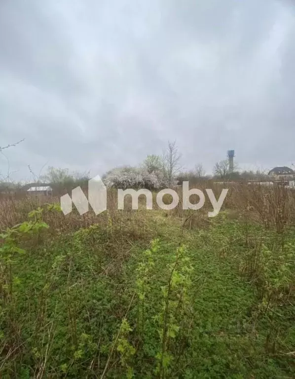 Участок в Калининградская область, Гурьевский муниципальный округ, ... - Фото 2