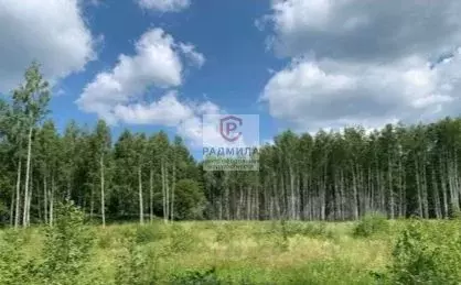 Участок в Ярославская область, Переславль-Залесский муниципальный ... - Фото 1