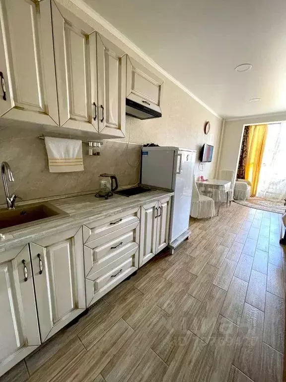 Студия Краснодарский край, Сочи Центральный мкр, ул. Роз, 36 (25.0 м) - Фото 1