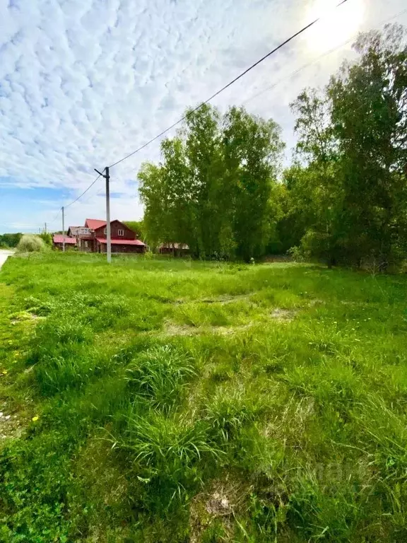 Участок в Новосибирская область, Новосибирский район, Краснообск рп, ... - Фото 1