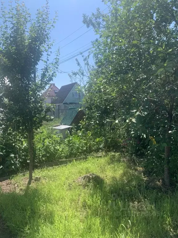 Участок в Калужская область, Ферзиковский район, Авчурино с/пос, с. ... - Фото 2