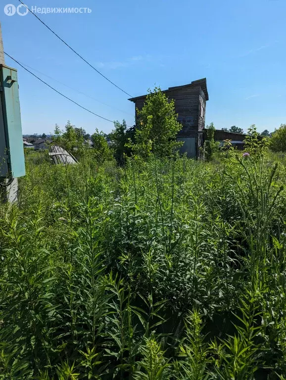 Участок в Орловский муниципальный округ, деревня Образцово, Отрадная ... - Фото 1