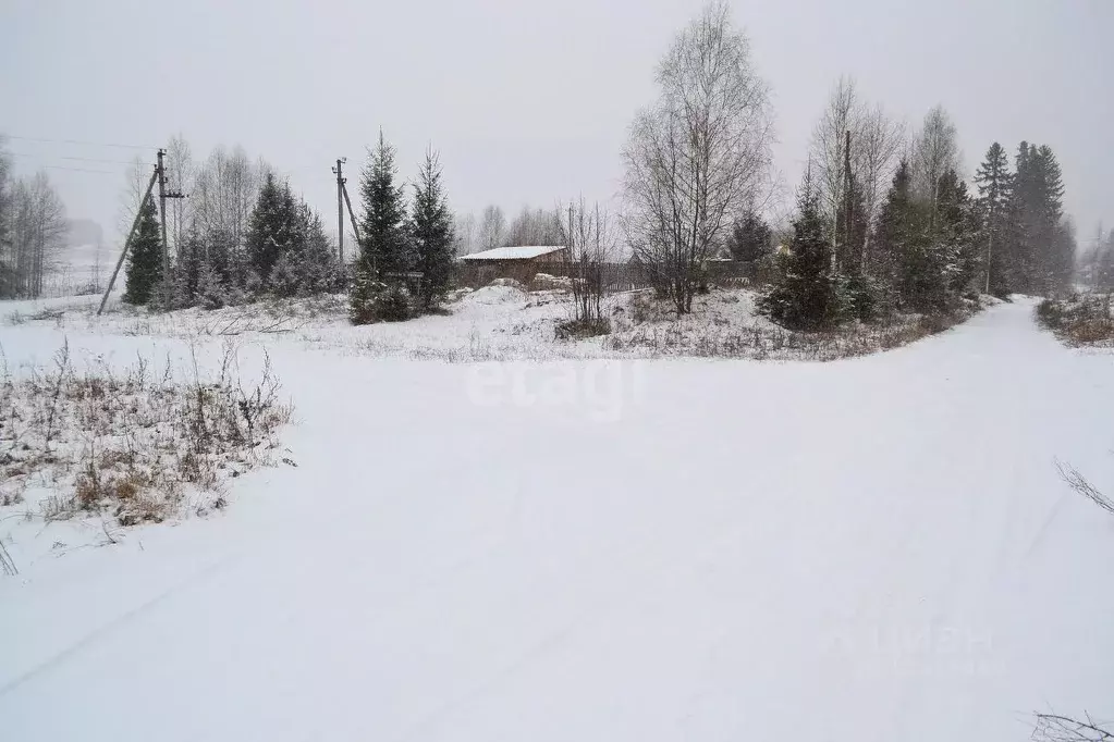 Участок в Пермский край, Очерский городской округ, д. Пестерево  (38.0 ... - Фото 1