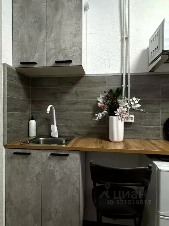 Студия Московская область, Раменское пос. Красный Октябрь, 23 (18.0 м) - Фото 2