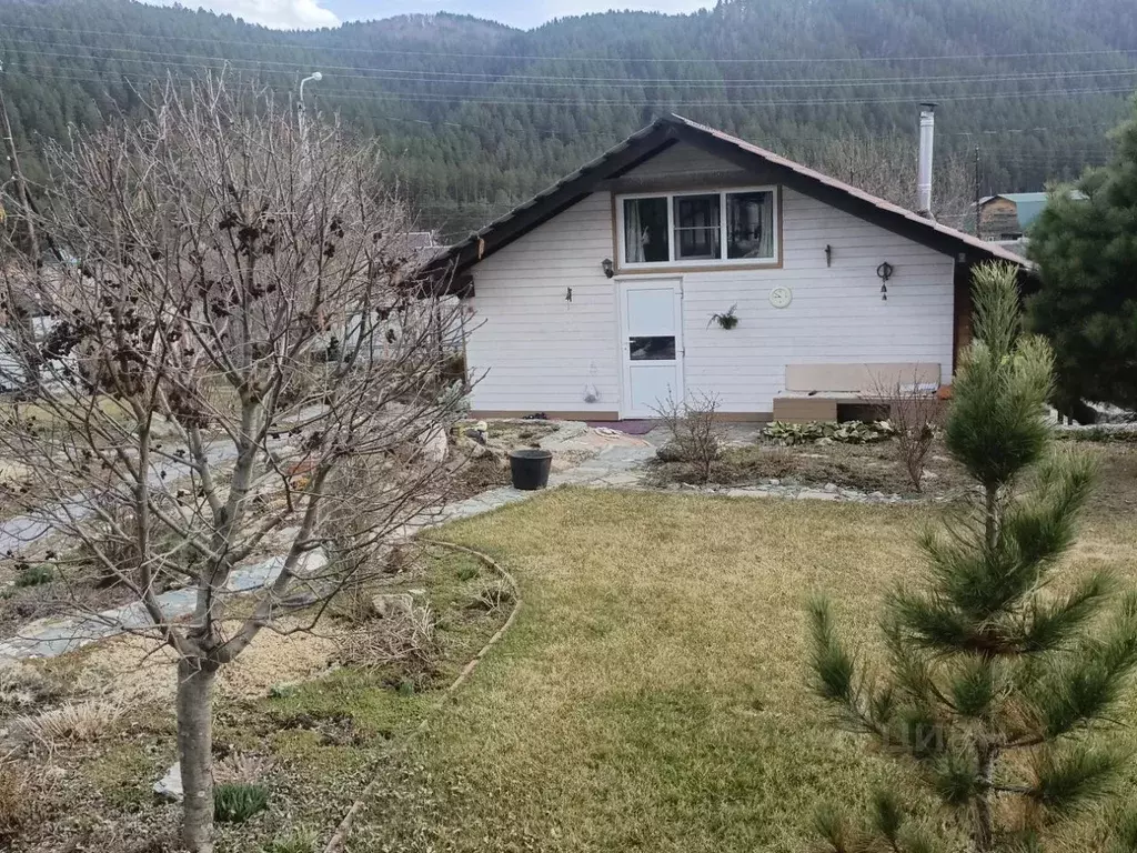 Дом в Алтай, Шебалинский район, с. Камлак Центральная ул., 79 (43 м) - Фото 1